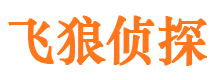 天津捉小三公司